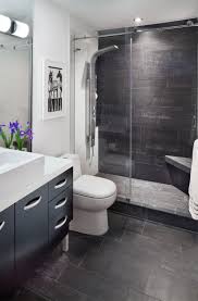 In the past, it was easy to choose the best tile for remodeling purposes since functional benefits such as low maintenance. Small Bathroom Design Nz Novocom Top