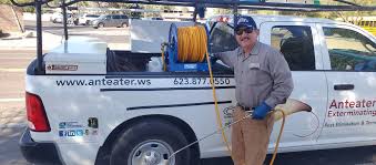 Being a service manager in pest control. Pest Control Phoenix Anteater Exterminating Inc