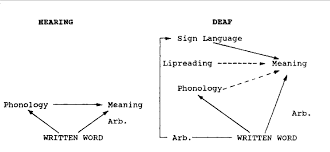 It includes thousands of templates and. What Is The Meaning Of Schematic Diagram