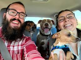 Cooler weather off-grid camping suggestions near Phoenix?