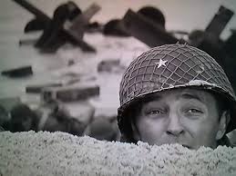 Mr. Majestyk” (1974) Director Richard Fleischer's action thriller written  by Elmore Leonard. The movie stars Charles Bronson, Al Lettieri, Linda  Cristal, Lee Purcell, Paul Koslo and Alejandro Rey. Vietnam war veteran just