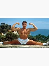 Image result for Van Damme split
