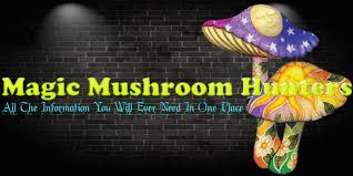 Magic Mushroom Hunters The Psilometric Scale Of Comparative
