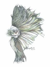 Betta Fish Pencil Drawing By Cc Crystow Siamesefighterfish Fish Fin Pencildrawing Drawing Artist Youtube Pint Fish Pencil Drawing Pencil Drawings Art