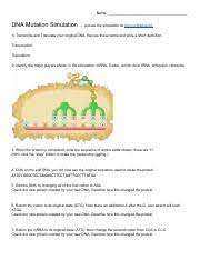 The ames test is based on the assumption that mutagenicity is associated with carcinogenicity and that mutagenic activity in bacteria is predictive of mutagenic activity in humans. A Mutation Story 3 Docx A Mutation Story Http Www Pbs Org Wgbh Evolution Library 01 2 Quicktime L 012 02 Html Or Course Hero