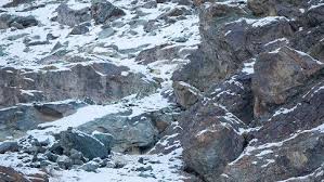Check spelling or type a new query. Can You Spot The Snow Leopards In These Photos The Weather Channel Articles From The Weather Channel Weather Com