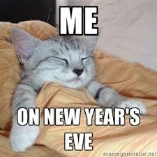 Me On New Year S Eve Sleeping Caterina Funny New Years Memes New Year Eve Quotes Funny New Years Eve Meme