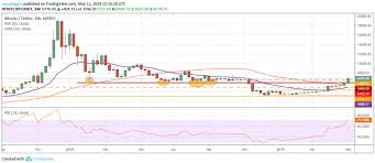 top 5 crypto performers overview btc eth bch ltc and xmr