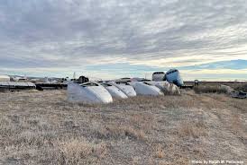 Image result for Bell Grey 1995 Fleet