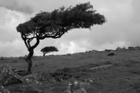 Introducing Andy and Jane