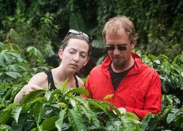 Check spelling or type a new query. Costa Rican Coffee Guide To Beans Regions Flavor Notes Enjoyjava