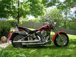 Image result for Dark Victory Red 1993 FLSTF