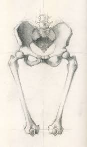 Anatomy Sketch Jeff Haines Anatomy Art Sketches Human Anatomy Art