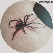 Spider drawing spider art feather drawing 3d art drawing 3d pencil drawings animal drawings tarantula drawing realistic sketch natural form art. Pin On Bugs