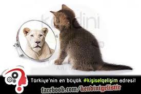 Kendini Tanimayan Insanlarla Calismak Kisisel Gelisim Yasam Tarzi