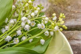 Elle a obtenu gain de cause sur les trois points. 1er Mai Sera T Il Possible De Vendre Et Acheter Du Muguet Malgre Le Confinement