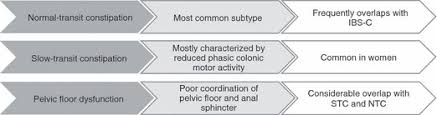 Diseases associated with constipation include hypothyroidism, certain types of cancer, and irritable bowel syndrome. Types Of Constipation Primary Idiopathic Constipation Can Be Download Scientific Diagram