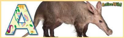 A To Z Animals List For Kids With Pictures Facts Animal A Z Information