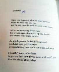 Frank O Hara Animals Lovely Quote Writing Poetry Frank O Hara
