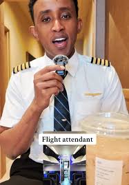 Max Etheridge Flight Attendant