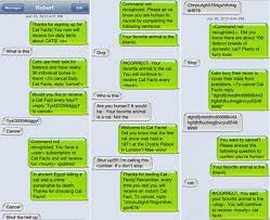 Cat facts is a daily text message prank app that sends cat trivia right to your phone! Sign Them Up For A Free Subscription To Cat Facts Cat Facts Prank Cat Facts Text Funny Pranks To Pull On People