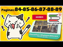 Puedes generar automáticamente hojas de ejercicios cliqueando sobre los enlaces que aparecen. Respuestas Desafios Matematicos 3 Paginas 84 85 86 87 88 89 Matematicas Tercer Grado De Primaria Youtube