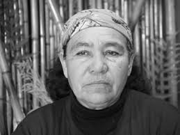 Sobrevivir a las crisis