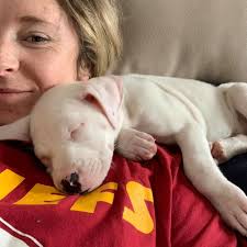 ADOPTED! Congratulations to Freckles, Eleanor, Jasper, Mia, Hope, Swirl, Willie,  Lucky, Ellis and Enzo