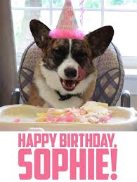Over 50+ bday images for everyone from mom to star wars fans to cat lovers! Happy Birthday Sophie Memes