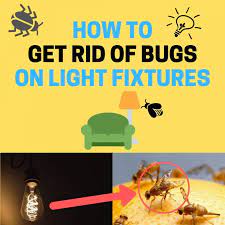 Tiny flying bugs in house attracted to light. How To Get Rid Of Tiny Flying Bugs On Light Fixtures Naturally Bugwiz