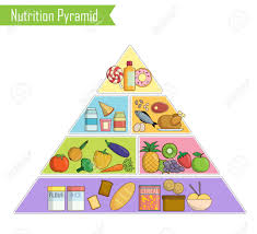 Isolated Infographic Chart Illustration Of A Healthy Balanced