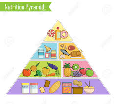 isolated infographic chart illustration of a healthy balanced