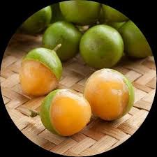 Image result for Melicoccus