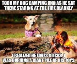 27 Camping Memes That Will Make You Want To Go Camping Right Now Funny Dogs Dog Camping Funny Animal Pictures