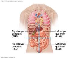 We did not find results for: Anatomical Language Chapter 1 Pages Ppt Download