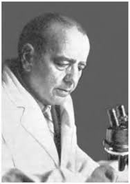 Catalog of the Staphylinidae (Insecta: Coleoptera). 1758 to the End of the  Second Millennium.I. Introduction, History, Biographical Sketches, and  Omaliine Group