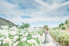 Ciara & richard's irish garden wedding. Everything You Need To Know About Spring Weddings Tips For Planning
