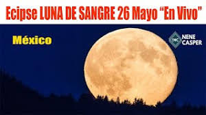 Te contamos a qué hora verla, en dónde y por qué se le conoce con tan particular nombre. Eizdiv3sbogjlm