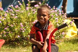 Fly tiwi airlines fly twice daily to and from darwin servicing milikapiti. Milikapiti Titeb