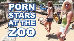 BANGBROS - Sexy estrellas porno invaden famoso zoológico y follan al zoo