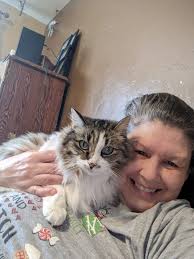 McKellips and Idaho Black Tabby