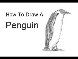 Check spelling or type a new query. How To Draw A Penguin Emperor Youtube