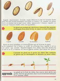 Gland Lecon De Choses Recherche Google