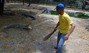 Apakah madu dan kayu manis ampuh menghilangkan jerawat? 10 Gambar Taman Budaya Tangerang Harga Tiket Masuk Lokasi Alamat Villa Di Sekitar Wisata Banyak Penangkaran Jejakpiknik Com