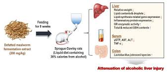 Larry nemetz avian vet orange ca specializes in treating pet education is key to the dr. Nutrients Free Full Text Defatted Tenebrio Molitor Larva Fermentation Extract Modifies Steatosis Inflammation And Intestinal Microflora In Chronic Alcohol Fed Rats
