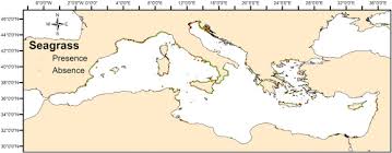 seagrass and hydrographic data for the mediterranean sea