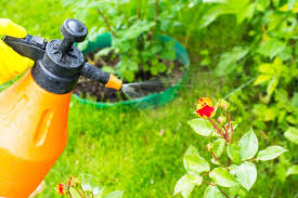 Containing or being poisonous material especially when capable of causing death or serious debilitation. 1 Pest Control San Diego R D Pest Services Inc