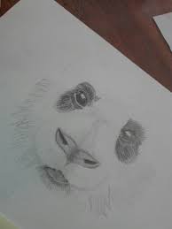 Mandala kleurplaten / moeilijke kleurplaten olifant. Heks Tekenen Moeilijk Rvbangarang Org