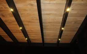 dimbare led verlichting in douglas eiken overkapping veranda verlichting tuinverlichting ideeen tuin met overkapping