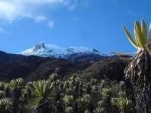 This page provides a complete overview of tolima, colombia region maps. Departamento De Tolima Colombia Ecured